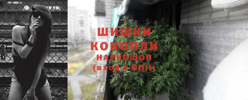 Конопля White Widow  Будённовск 